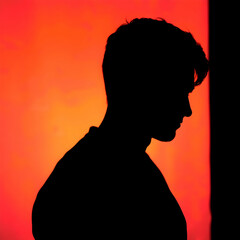 silhouette of a person with hair