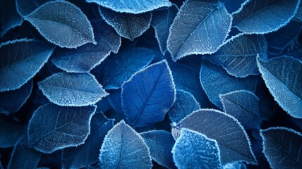 Obraz premium Frost Covered Blue Leaves A Winter Scene