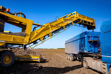 Conveyor line for collecting and loading sugar beet into a truck for transportation