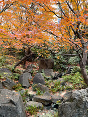 都心散歩　シティービュー