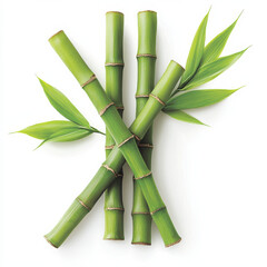 Fototapeta premium Vibrant green bamboo stalks with intricate textures and leaves