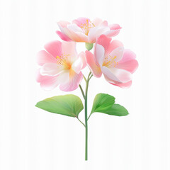 Fototapeta premium Delicate pink peach blossoms with green leaves on white background
