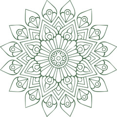 Beautiful flower art and mandala vector design