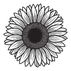 Sunflower line art outline coloring page kids for creative design