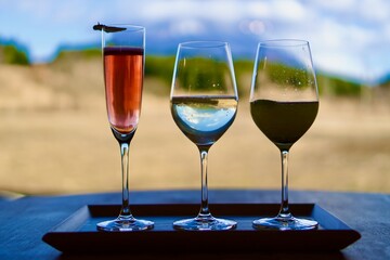 美味しそうなワインの飲み比べ