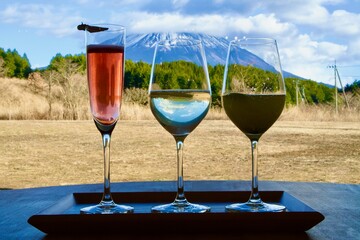 美味しそうなワインの飲み比べ