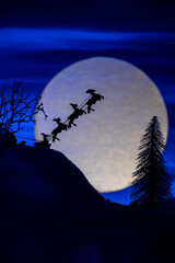 christmas in bergen, norway