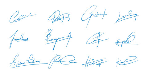 Fake Handwriting Signature by pen, autograpgh set	
