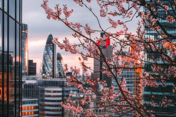 Close-up City, Minimalism, Building Facades, Aesthetics, Spring, Autumn, Blooming Trees, Street, Perspective, Beautiful Architecture, Neutral Background, European City, New York, China