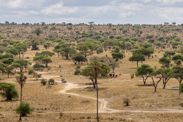 Scenic bird view of Tarangire National Park in Tanzania East Africa