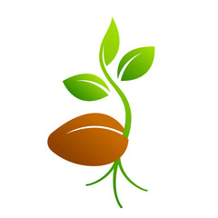 sprouting seed flat vector illustration logo icon clipart