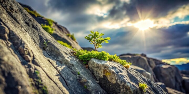 A resilient sapling bravely emerges from a rugged, sun-drenched rock face, symbolizing the indomitable spirit of nature's persistence