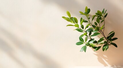 Vibrant Green Sprig Photo: Softly Lit Minimalist Mockup on Neutral Background. AI Generated