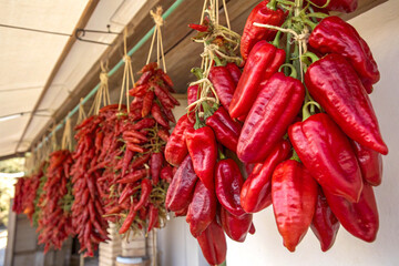 A cluster of ripe red peppers hanging to dry