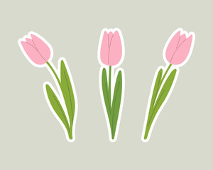 Stickers with pink tulips, isolated. Handmade tulips. Spring element design.