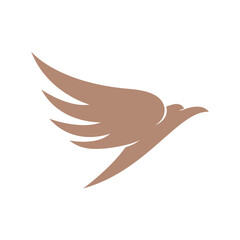 Falcon eagle bird