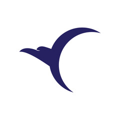 Falcon eagle bird