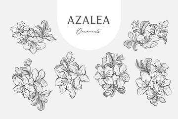 Set of Azalea Line Art Ornaments