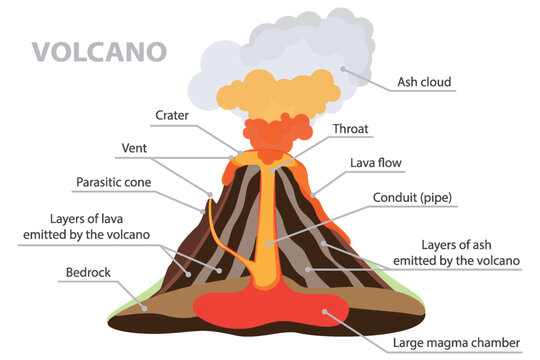 Volcanic eruption. Educational poster of volcano cross section. Ash cloud, crater, throat, conduit, lava flow, magma, vent, bedrock and layers of ash.