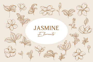 Set of Jasmine Line Art Elements