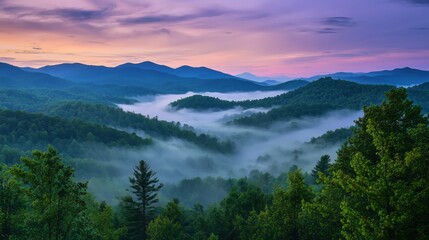Obraz premium Early morning fog gently rolls through peaceful mountain valleys creating a mystical scene with balanced exposure and no noise artifacts --ar 16:9 --q 2