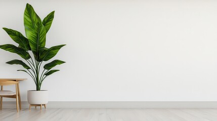 Minimalist studio coworking space with open desks, white walls, and modern decor, Coworking Space, Minimalist Studio