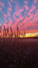 Golden wheat fields sway in the warm sunset light over the landscape during harvest season