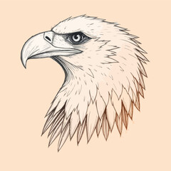 american bald eagle isolated on transparent background cutout