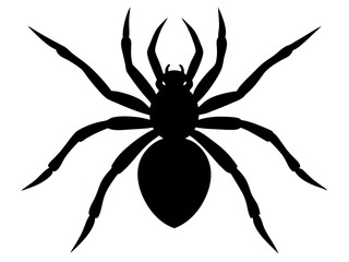 spider black silhouette vector, Simple silhouette Design vector icon with white background