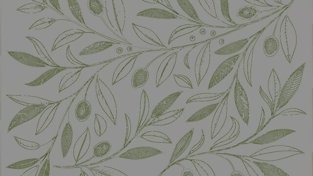 Animation Olives Line Drawing. Green and grey Olive background. Floral Line Art. Fine Line Olive. Wedding invitation greenery. Design for stories and promo posts, Social Media Banner, Intro