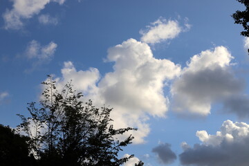 white clouds are floating across the sky