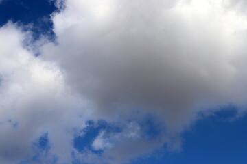 Fototapeta premium white clouds are floating across the sky