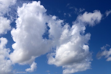 white clouds are floating across the sky