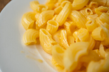 pasta with mac cheese macro shot