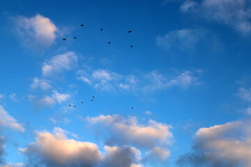 white clouds are floating across the sky
