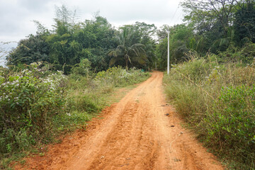 India, Karnataka, muddy road in a forest in a rural Indian village