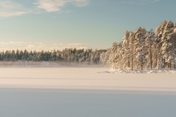 A Serene and Beautiful Winter Landscape Featuring SnowCovered Trees and a Frozen Lake in Sweden