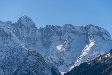 Obraz premium Snowy peaks and glaciers cover giant rocks. Pine and spruce forests grow at foot of mountains. which Majestic mountains against blue sky. Sunny day. Autumn 2024. Karachay-Cherkessia. Dombay.
