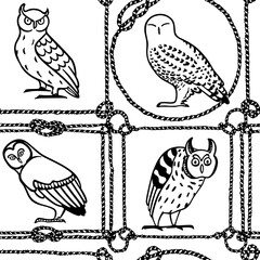 Vector seamless pattern with hand drawn funny owls in nautical rope frames. Ink drawing, decorative graphic style. Beautiful animal design elements, perfect for prints and patterns