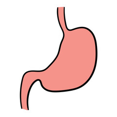 Obraz premium Hand drawn cartoon human stomach internal organ on white background.