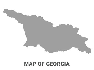 Simple flat Georgia map Grey vector