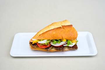 Meat Chicken Doner, between bread (Turkish Name : ekmek arasi et doner, tavuk doner, Gobit ekmek arasi, Turk kebabi)