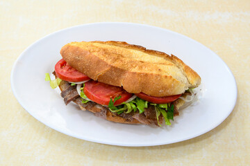 Meat Chicken Doner, between bread (Turkish Name : ekmek arasi et doner, tavuk doner, Gobit ekmek arasi, Turk kebabi)