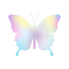 Colorful Butterfly isolated on white background