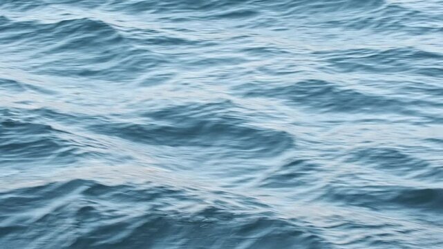 waves of the sea