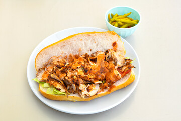 Meat Chicken Doner, between bread (Turkish Name : ekmek arasi et doner, tavuk doner, Gobit ekmek...