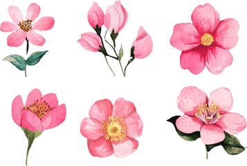 Fototapeta premium set of pink flowers