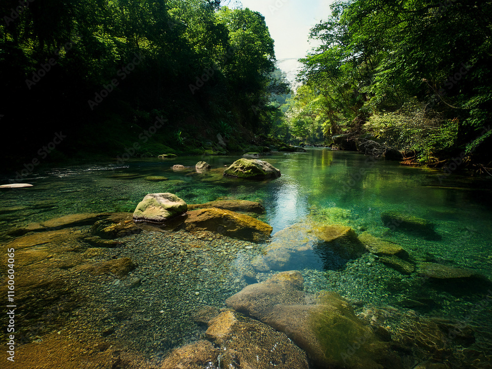 Poster Serene river scene: crystal-clear water flows over smooth rocks, nestled within a lush, green forest canopy. Sunlight filters through the leaves, illuminating the riverbed.