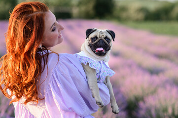 Portrait of a pug and its owner. A young red-haired woman holds her dog in her arms in a blooming...