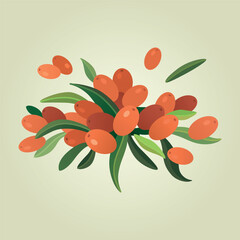 Group of sea ​​buckthorn berries